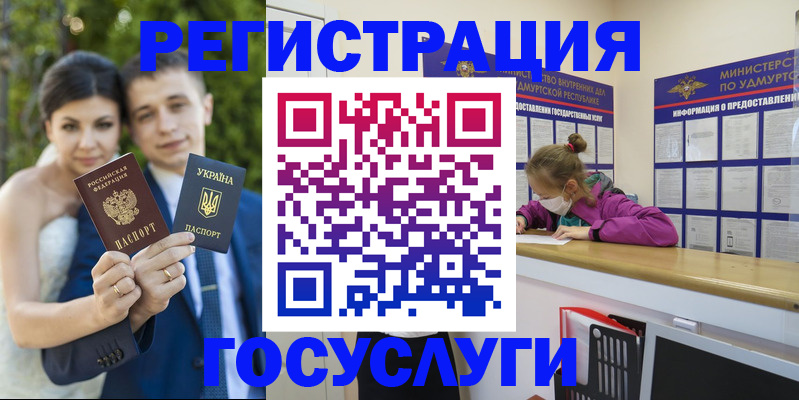 прописка поиск в Вельске